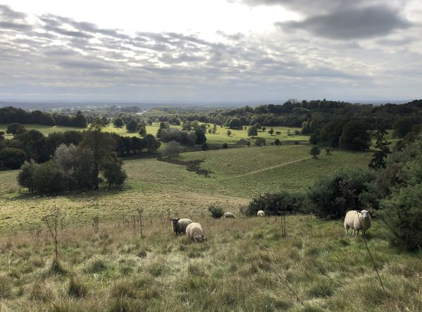 South of Bletchingley 1